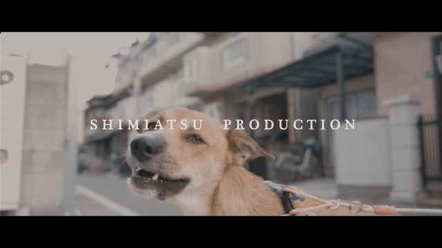 『TEAM SURVIVAL BATTLE』